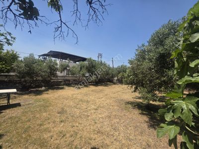 Arsa-Tarla