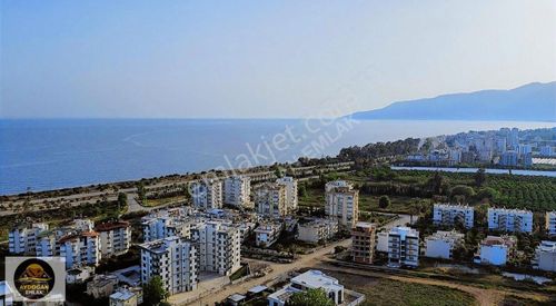 Arsa-Konut İmarlı