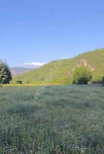 Arsa-Tarla
