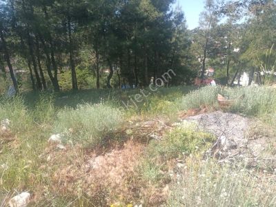 Arsa-Konut İmarlı