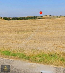 Arsa-Tarla