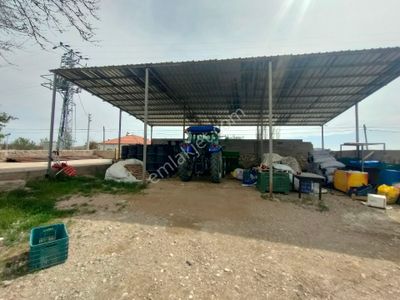 Konut-Çiftlik Evi