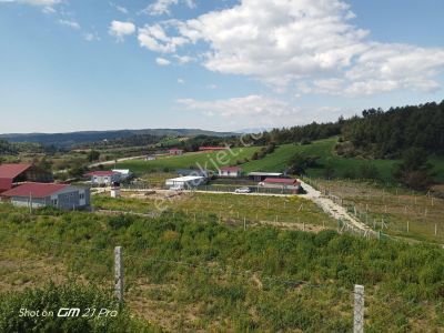 Arsa-Konut İmarlı