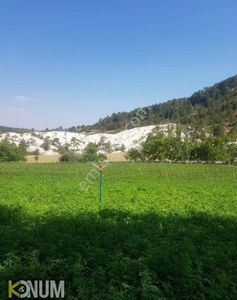 Arsa-Konut İmarlı
