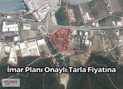 Arsa-Tarla