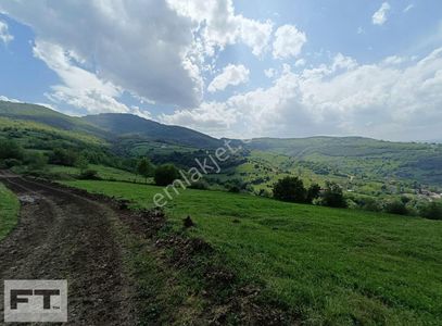Arsa-Tarla