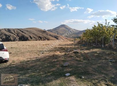 Arsa-Tarla