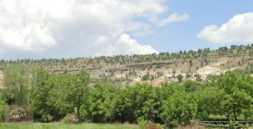 Arsa-Tarla