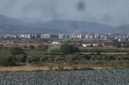 Arsa-Tarla