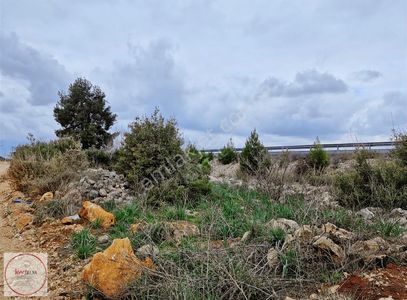 Arsa-Tarla