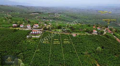 Arsa-Konut İmarlı