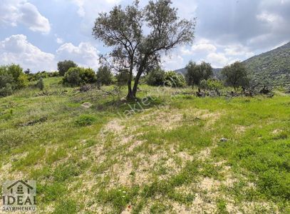 Arsa-Tarla
