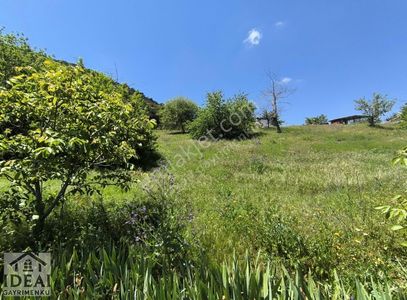 Arsa-Villa İmarlı
