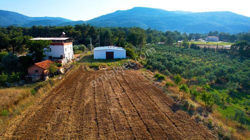 Arsa-Tarla