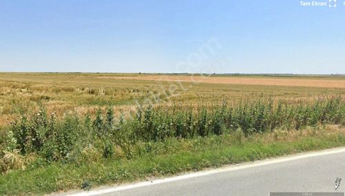 Arsa-Tarla