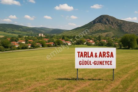 Arsa-Arazi