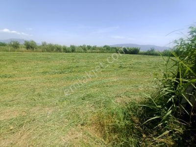 Arsa-Tarla