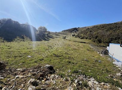 Arsa-Tarla