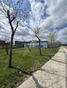 İşyeri-Ofis