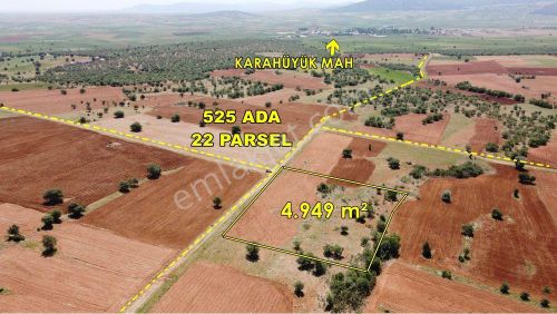 Arsa-Tarla