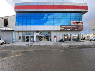 İşyeri-Dükkan & Mağaza