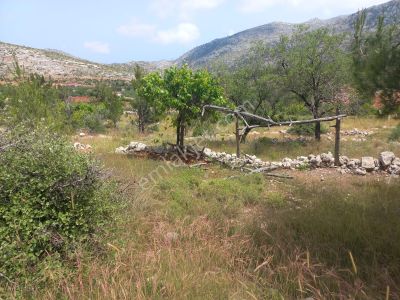 Arsa-Tarla