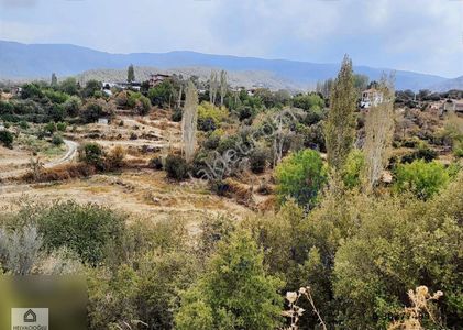 Arsa-Bağ & Bahçe