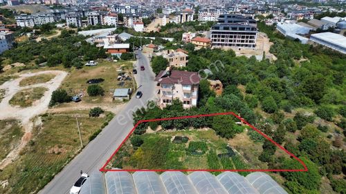 Arsa-Konut İmarlı