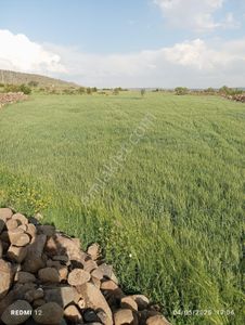 Arsa-Tarla