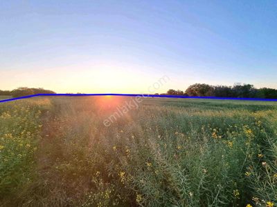 Arsa-Tarla