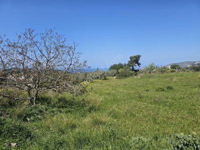Arsa-Villa İmarlı