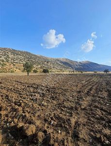 Arsa-Tarla