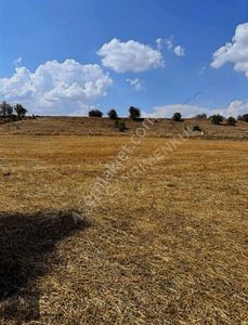 Arsa-Tarla