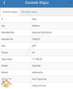 Arsa-Zeytinlik