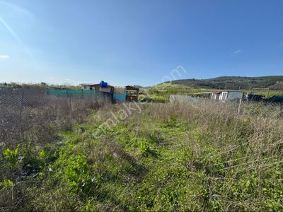 Arsa-Tarla