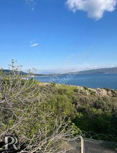 Arsa-Zeytinlik