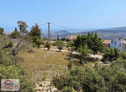 Arsa-Villa İmarlı