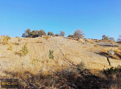 Arsa-Tarla