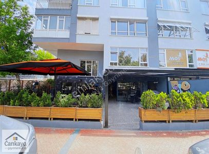 İşyeri-Dükkan & Mağaza