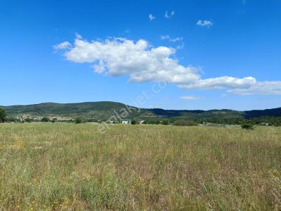Arsa-Tarla