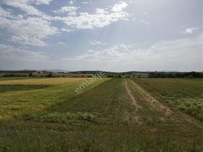 Arsa-Tarla