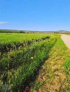 Arsa-Tarla