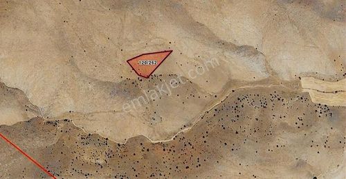 Arsa-Tarla