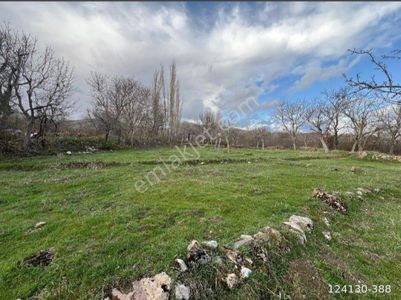 Arsa-Bağ & Bahçe