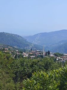 Arsa-Konut İmarlı