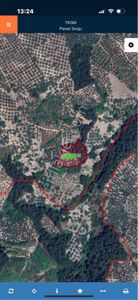 Arsa-Zeytinlik