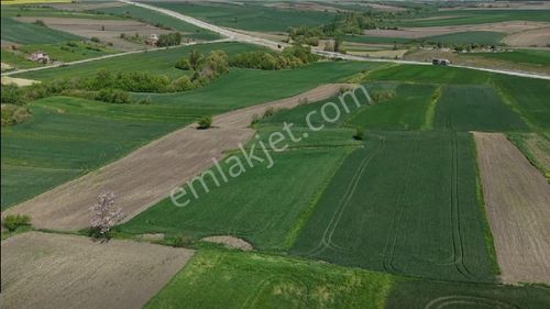 Arsa-Tarla