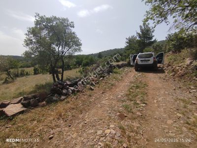 Arsa-Tarla