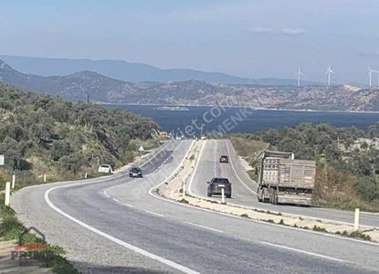 Arsa-Zeytinlik