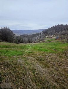 Arsa-Tarla